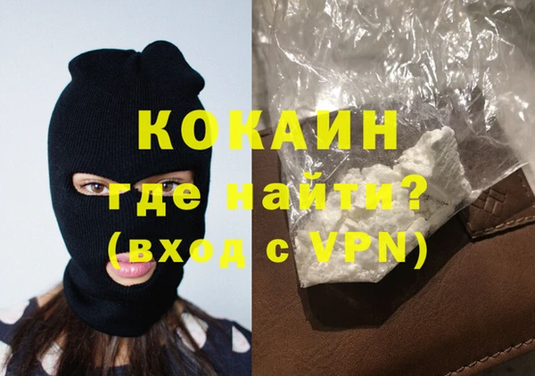 крисы Абаза