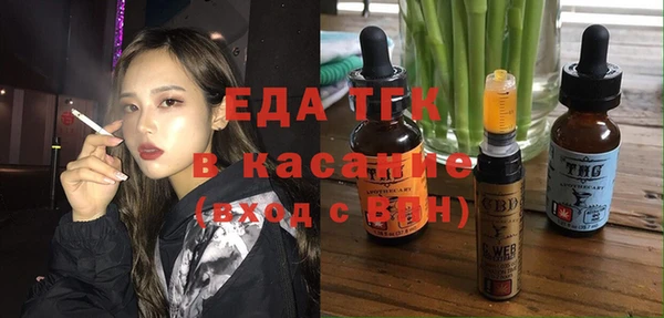 крисы Абаза